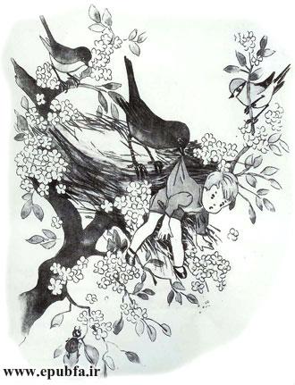 قصه کودکانه وینکی و دوستان جنگلیاش - ارشیو قصه و داستان ایپابفا